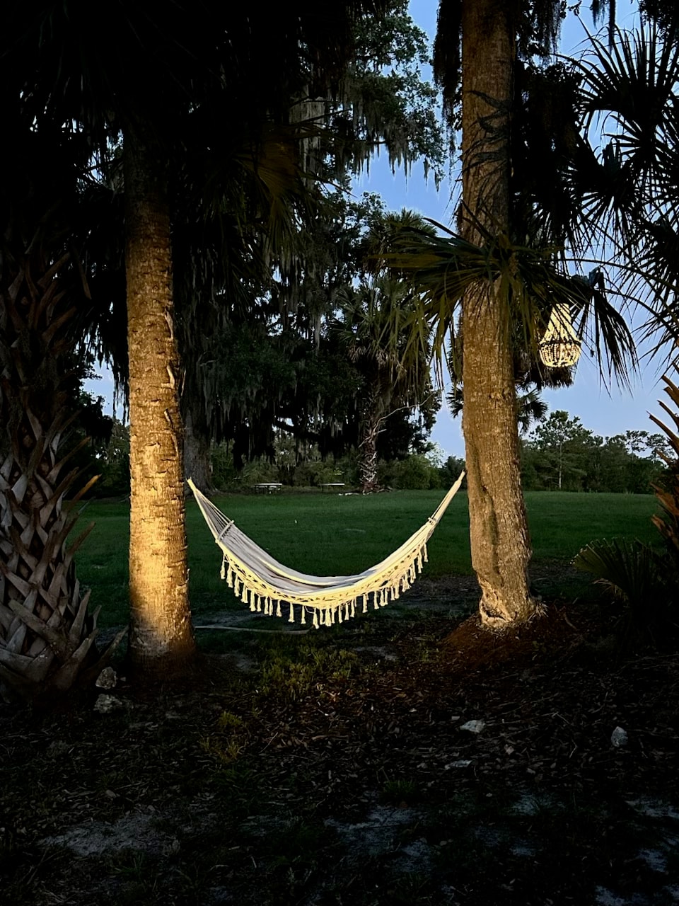Hammock by the pond with palm tree and fountain at The Ranch at night